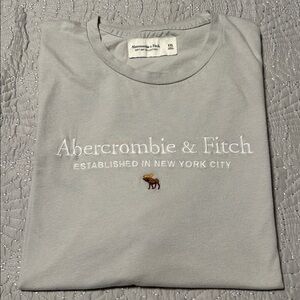 Abercrombie & Fitch Men’s Light Gray Short Sleeve Tee, GUC, Size 2X